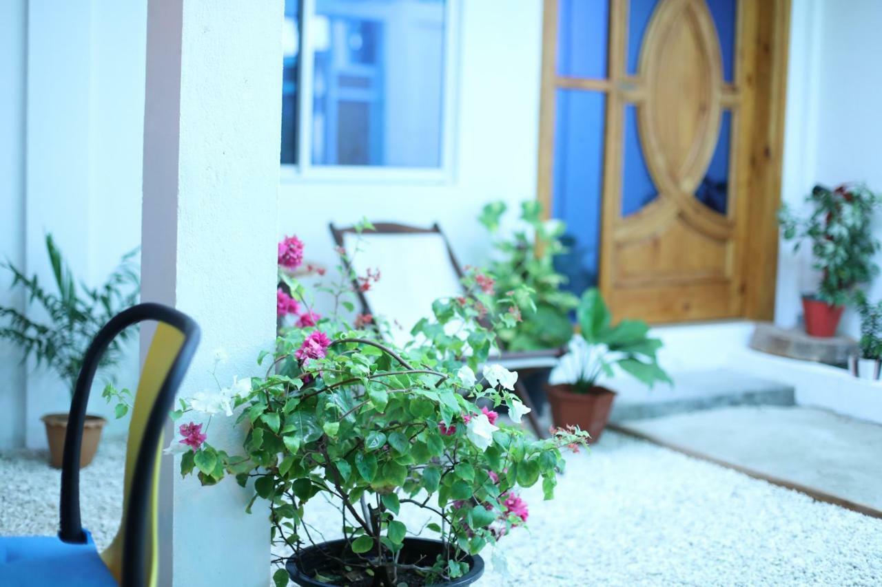 心玛芙市 Moodhu Surf House酒店 外观 照片
