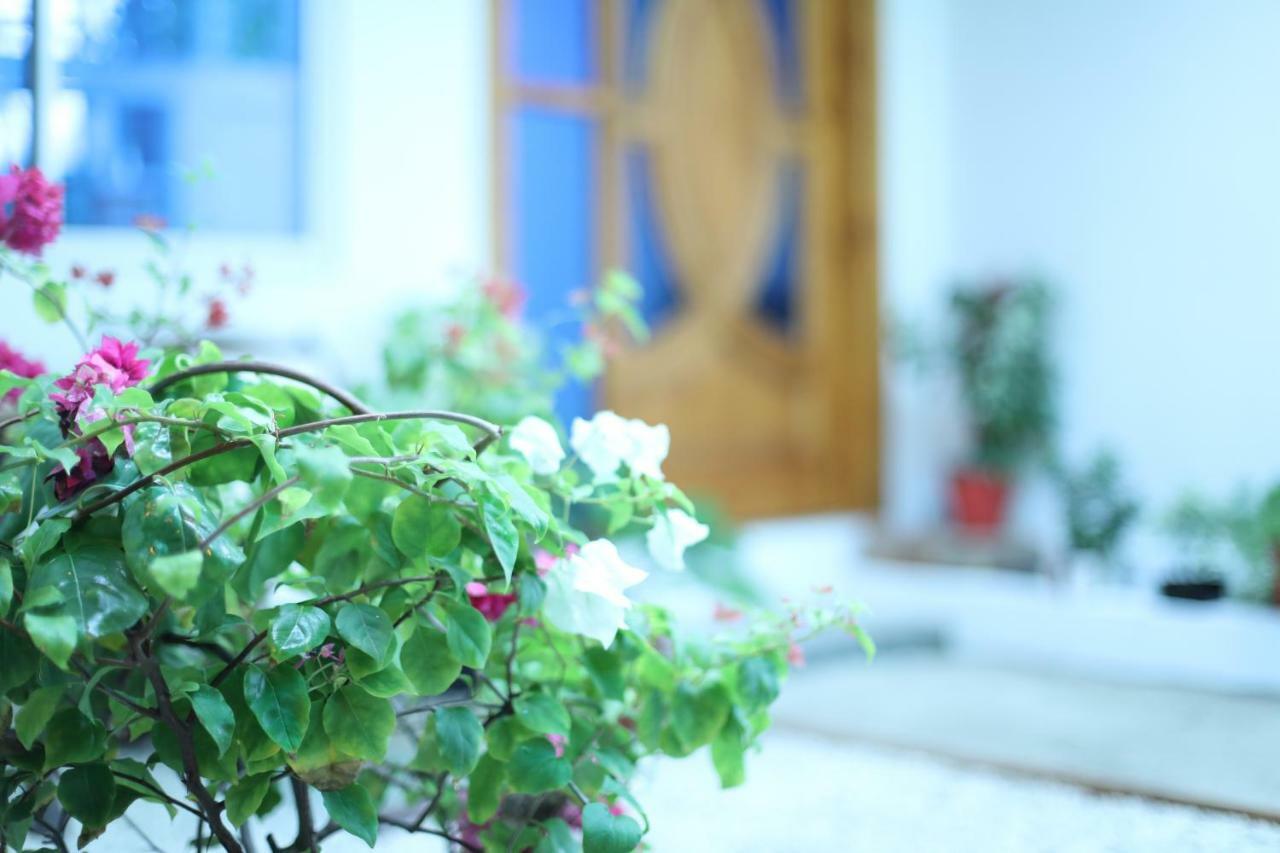 心玛芙市 Moodhu Surf House酒店 外观 照片